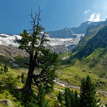 شقة سانت ليونهارد Aschau Im Zillertal