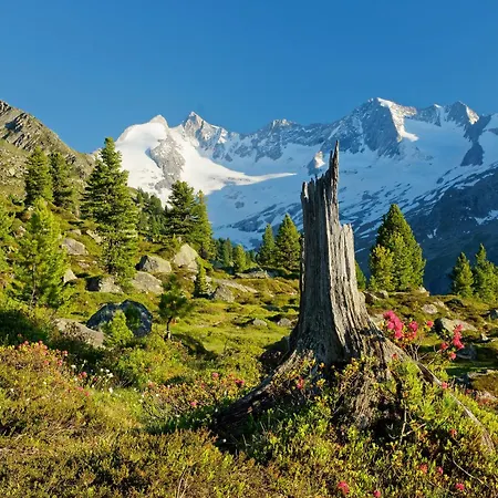 Daire St. Leonhard *