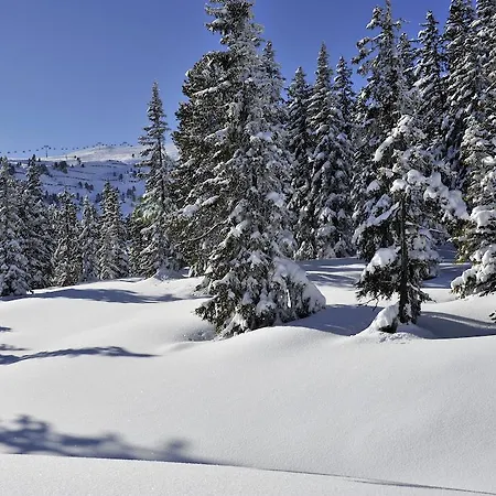 Daire St. Leonhard *